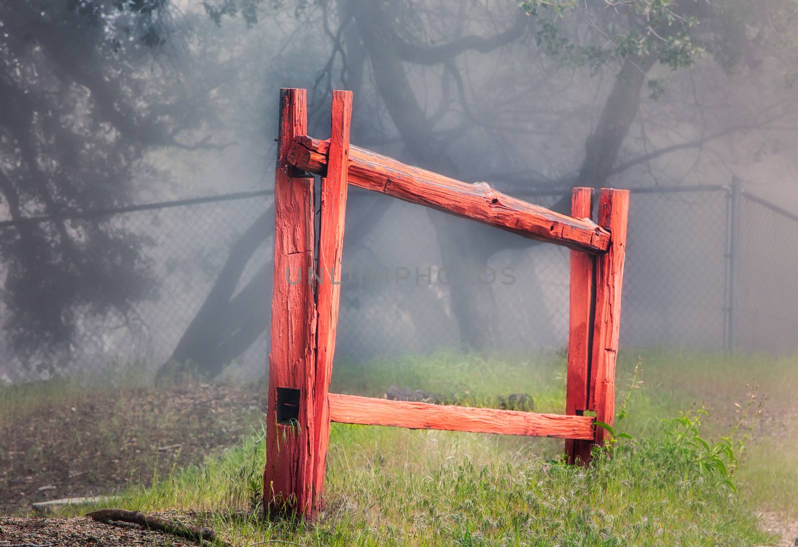 Isolated red stockade fence in forest fog.