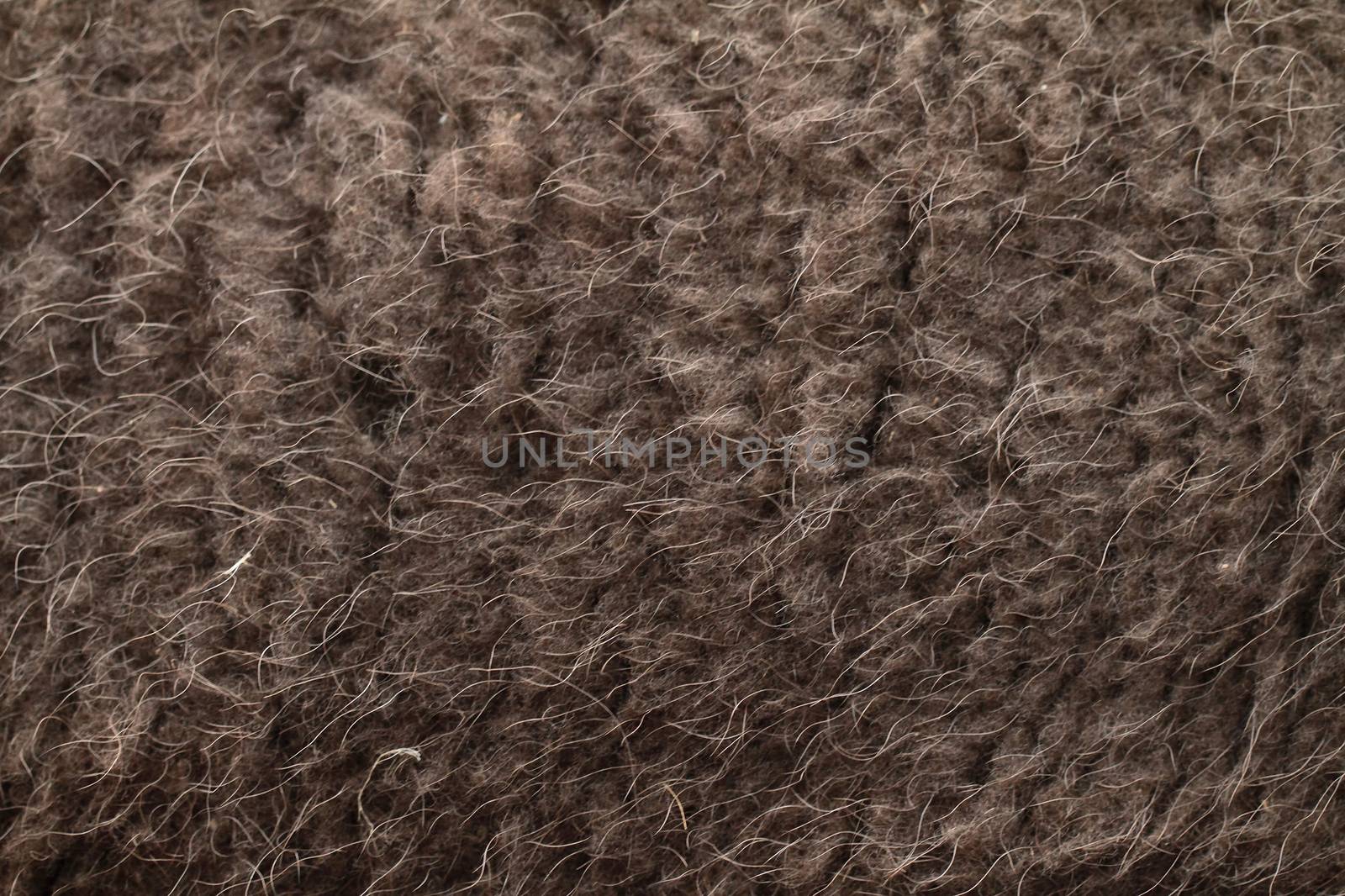 Close up photo of brown boar hairs