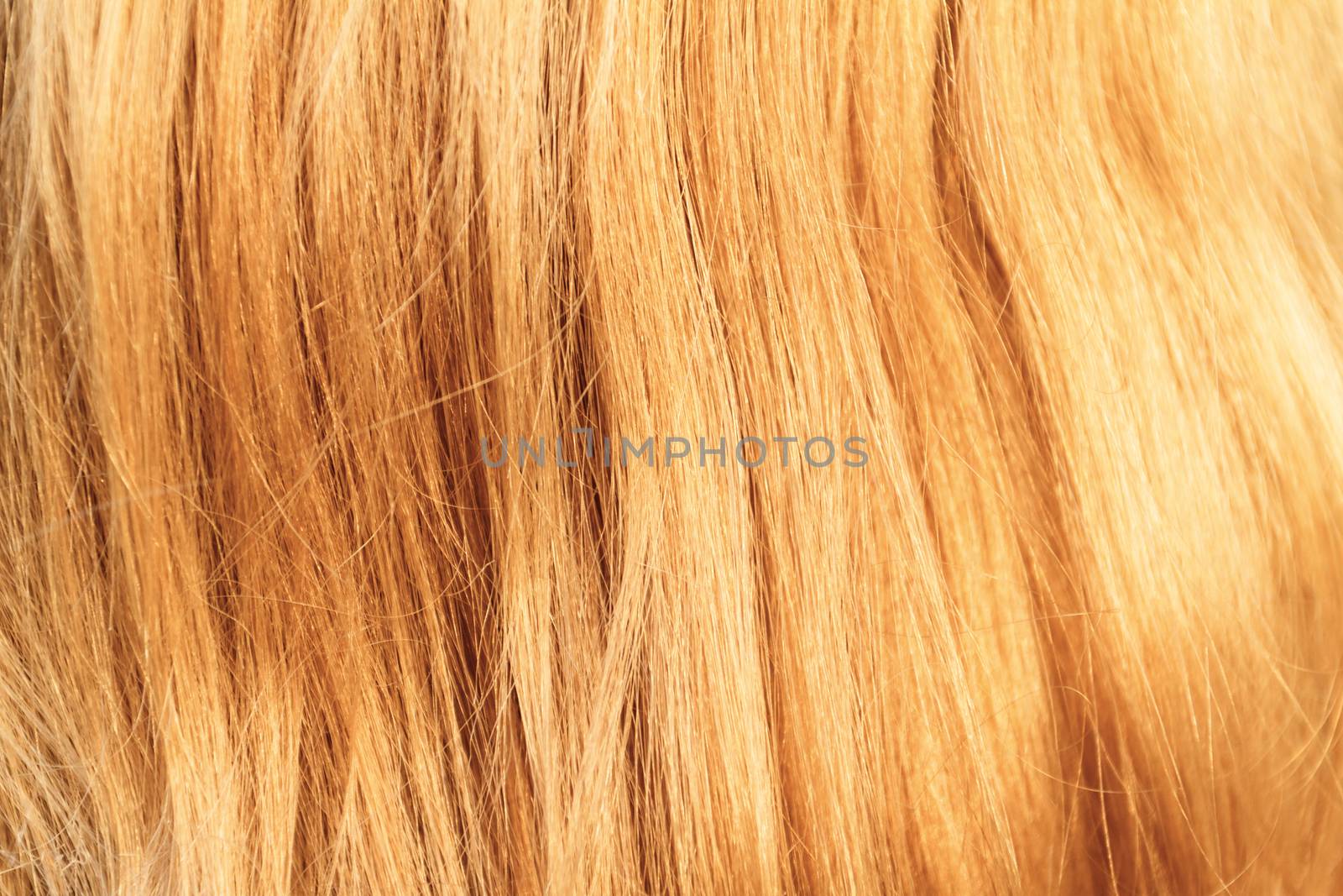 Blonde hair. Blond hair texture - closeup photo