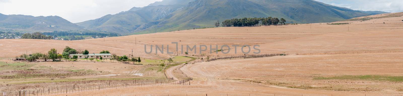 View accross a farm near Bot River by dpreezg