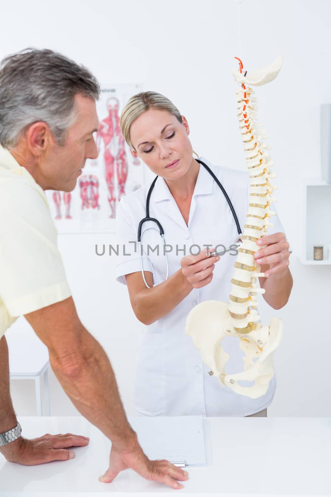 Doctor showing her patient a spine model in medical office