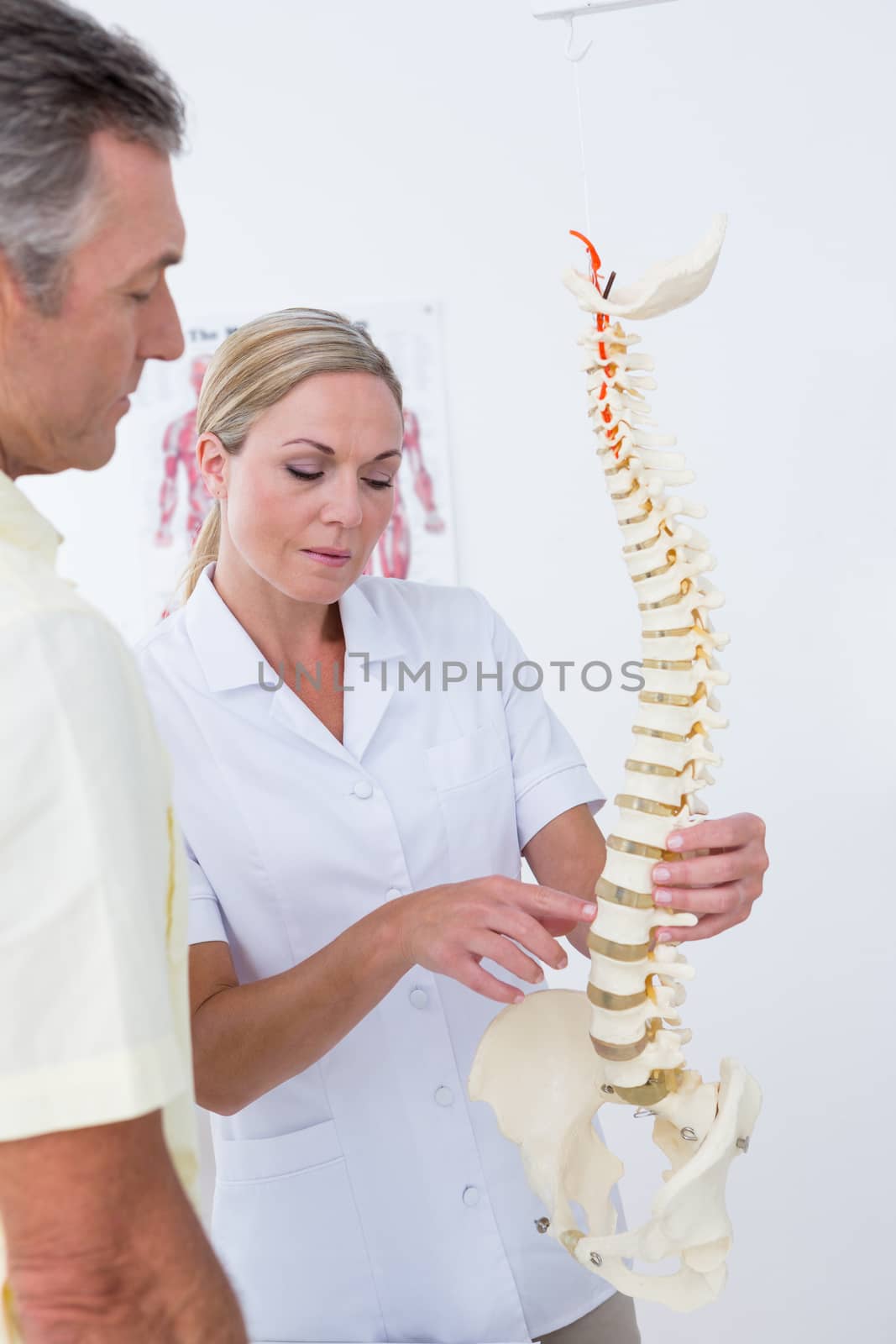 Doctor showing her patient a spine model by Wavebreakmedia