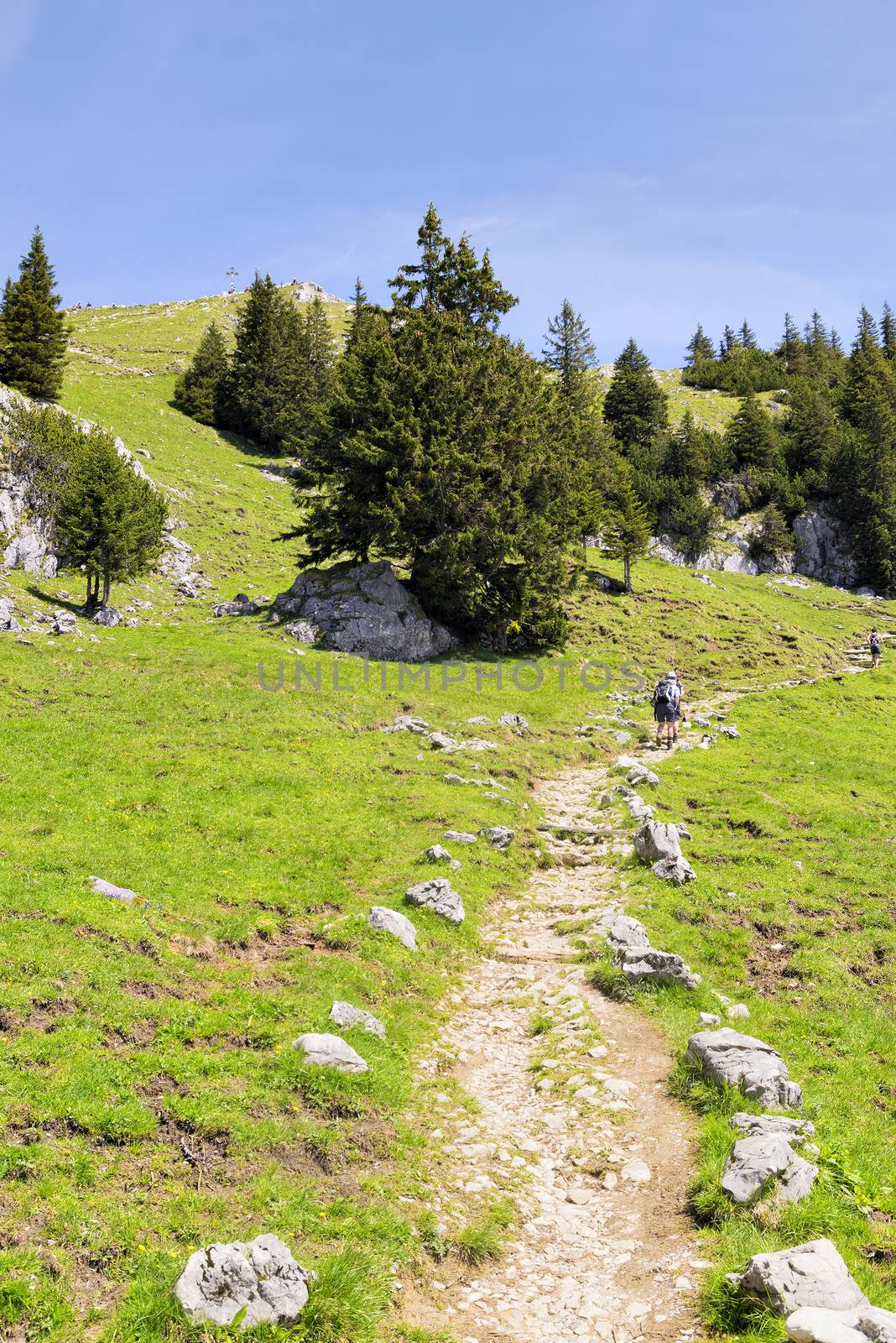 Path to the summit of the mountain Breitenstein in Bavaria, Germany