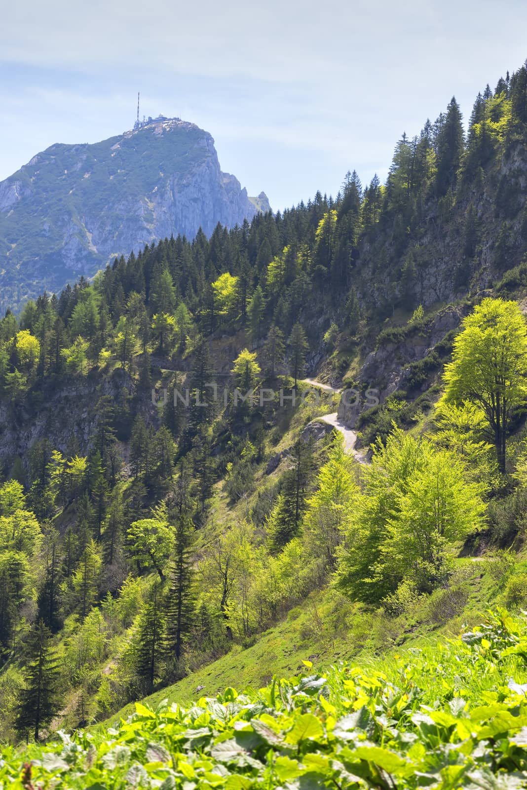 Landscape on the mountain Breitenstein in the Alps with view to Wendelstein in Bavaria, Germany