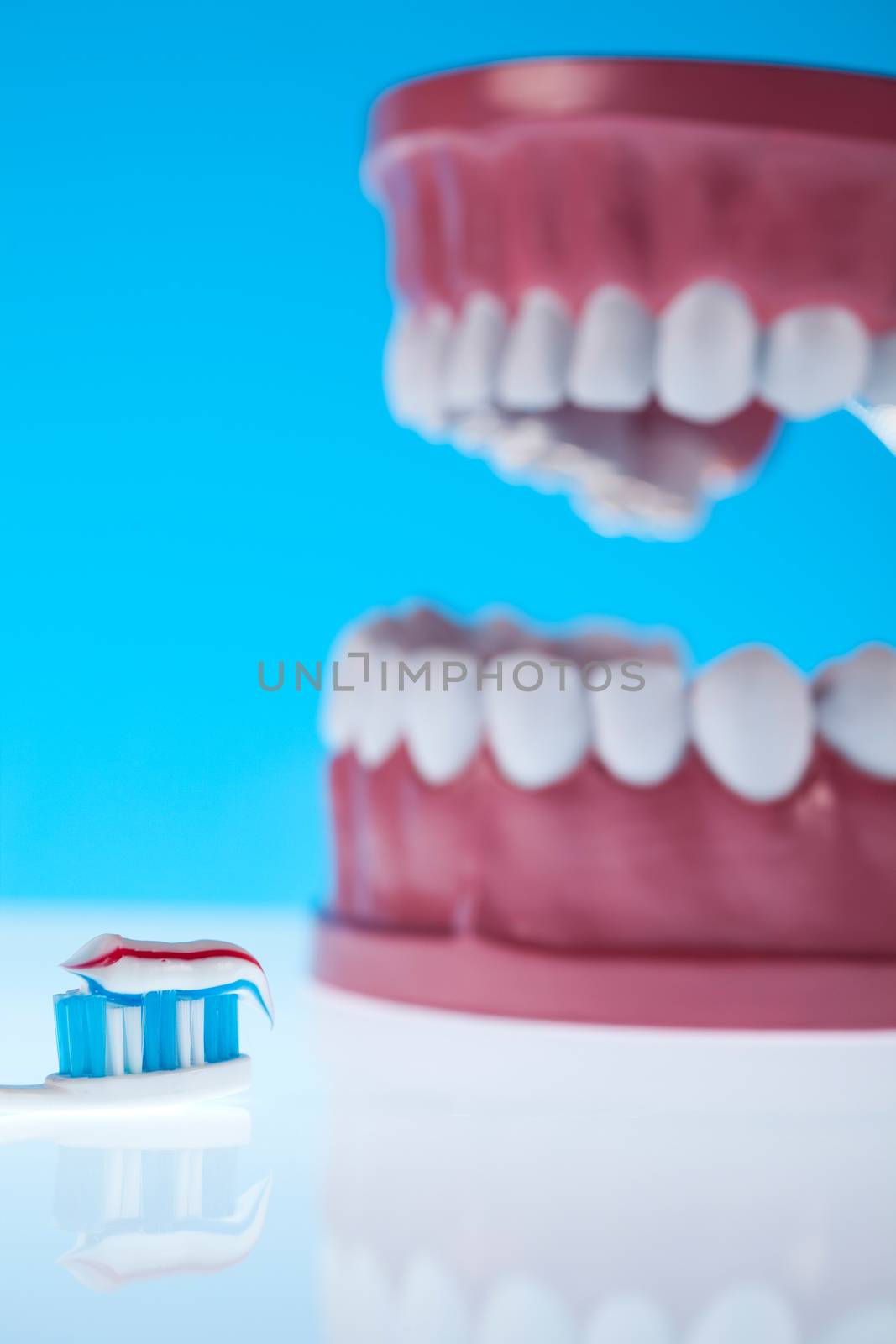 Anatomy of the tooth, bright colorful tone concept
