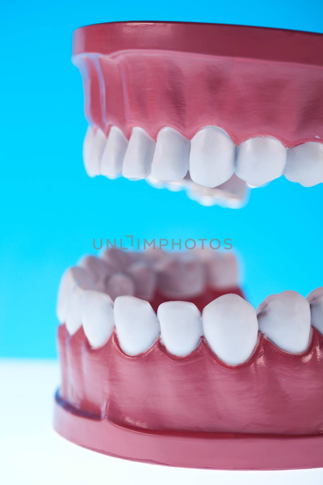 Anatomy of the tooth, bright colorful tone concept by JanPietruszka