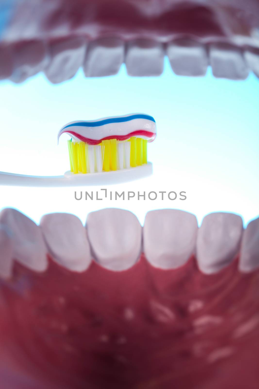 Anatomy of the tooth, bright colorful tone concept by JanPietruszka