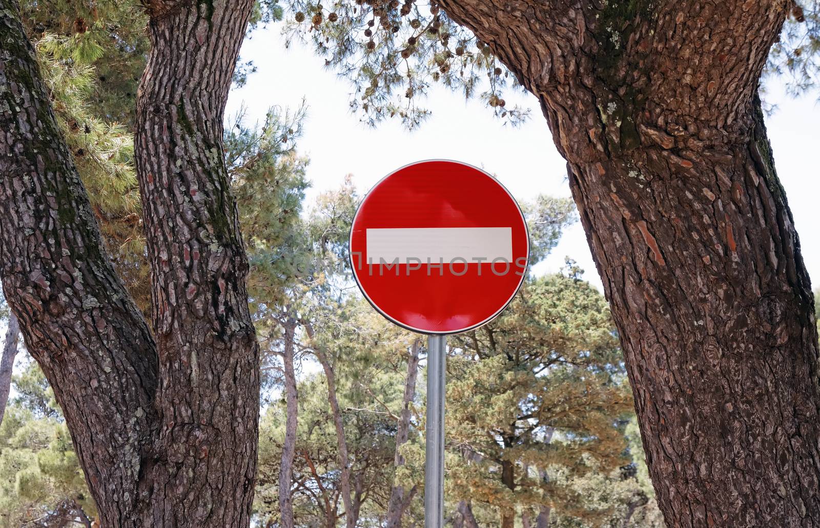 do not enter traffic sign between two trees