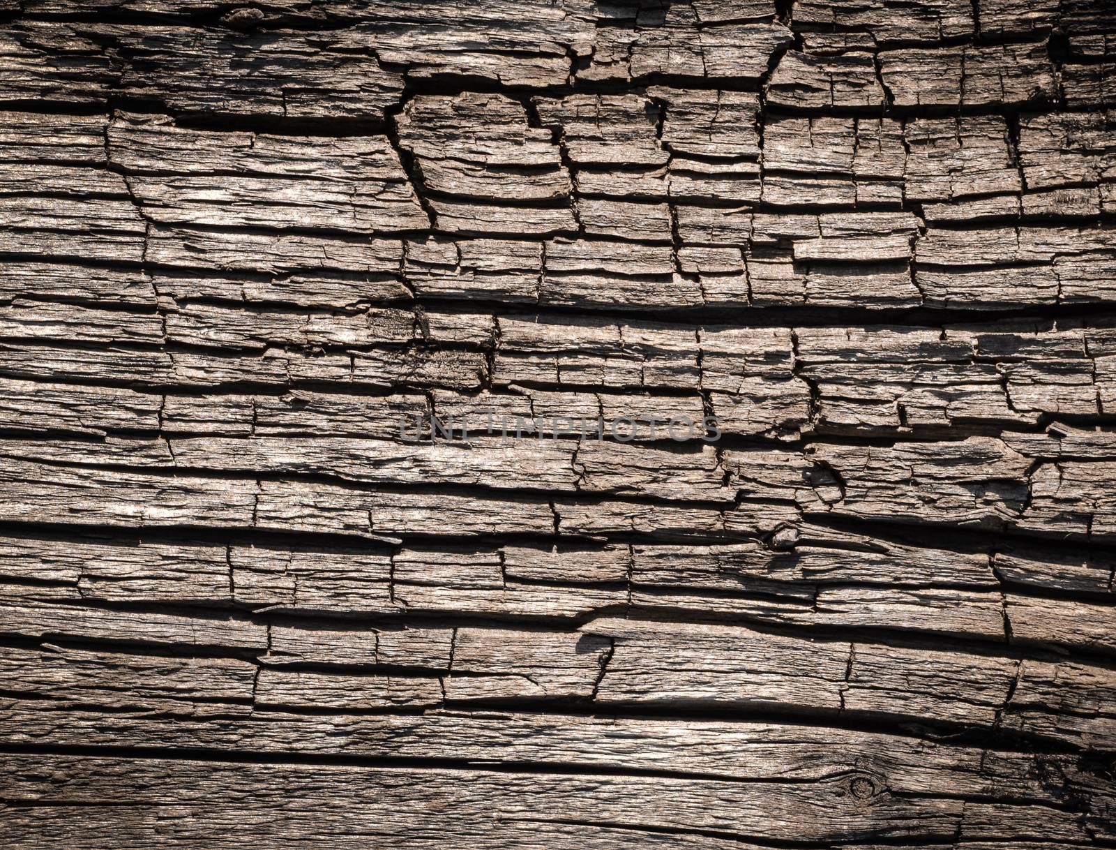 Abstract background or texture old wood board