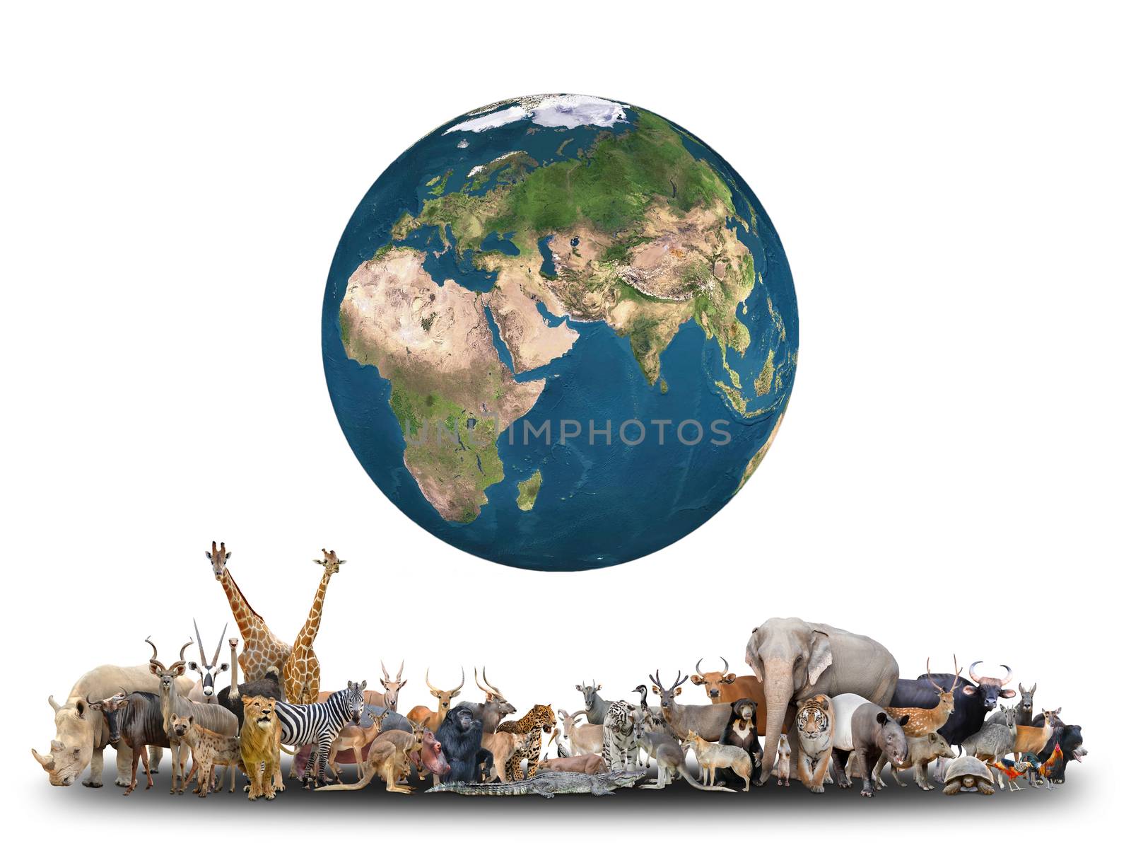 animal of the world with planet earth on white background,Element of this image are furnished by NASA