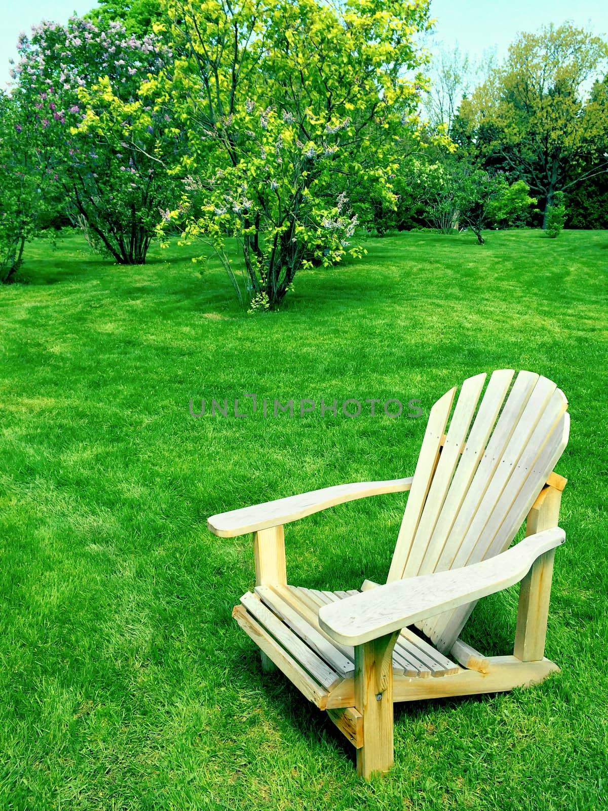 Wooden chair on a green lawn in spring garden.