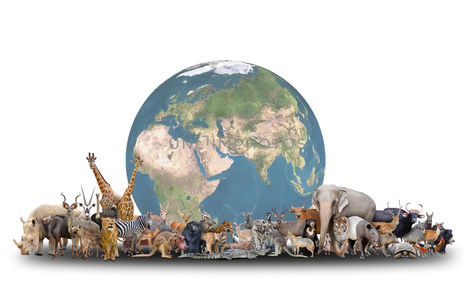 animal of the world with planet earth on white background,Element of this image are furnished by NASA