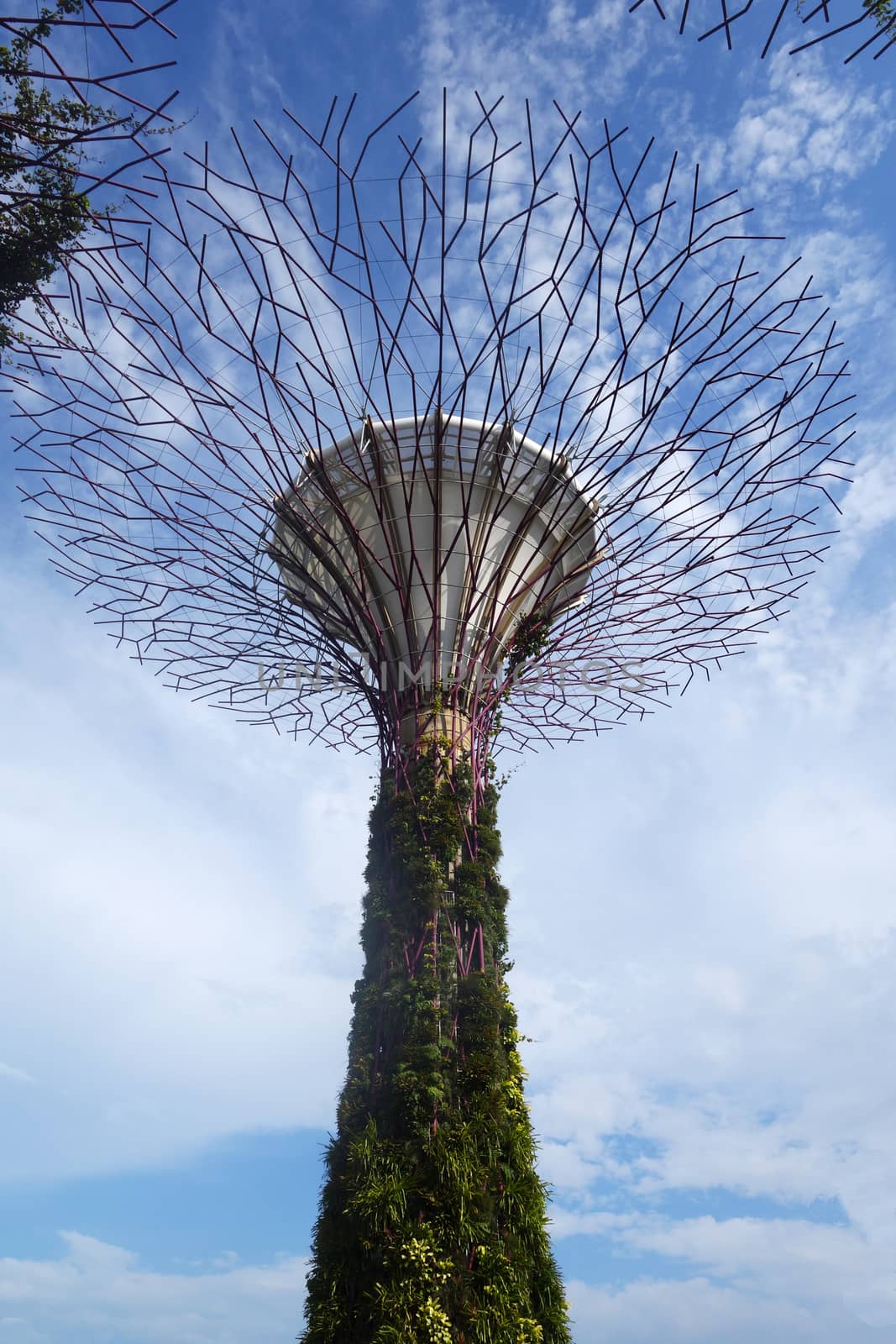 SINGAPORE - MAY 31: Gardens by the Bay on May 31, 2015 in Singapore. Gardens by the Bay was crowned World Building of the Year at the World Architecture Festival 2012