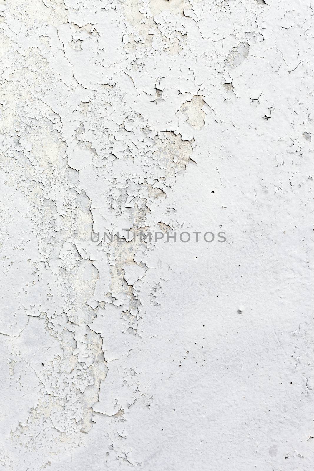 Grungy white concrete wall background by H2Oshka