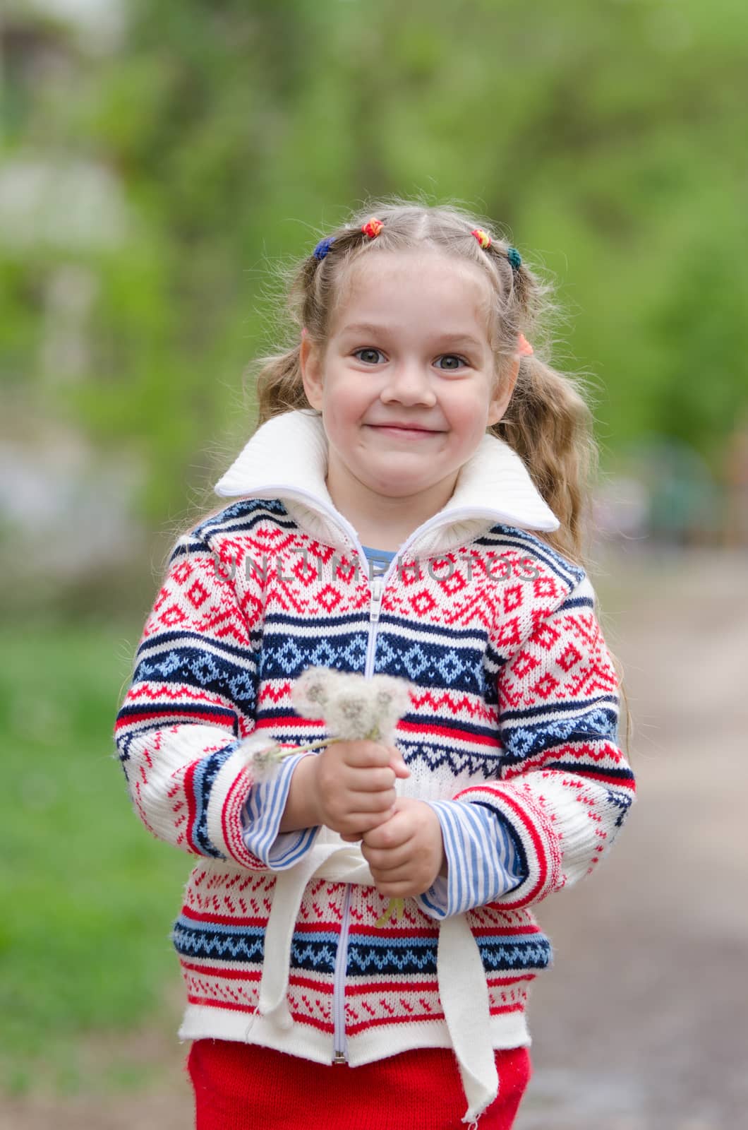 Half-length portrait four-year girl in a jacket with a bouquet of dandelions in the hands of