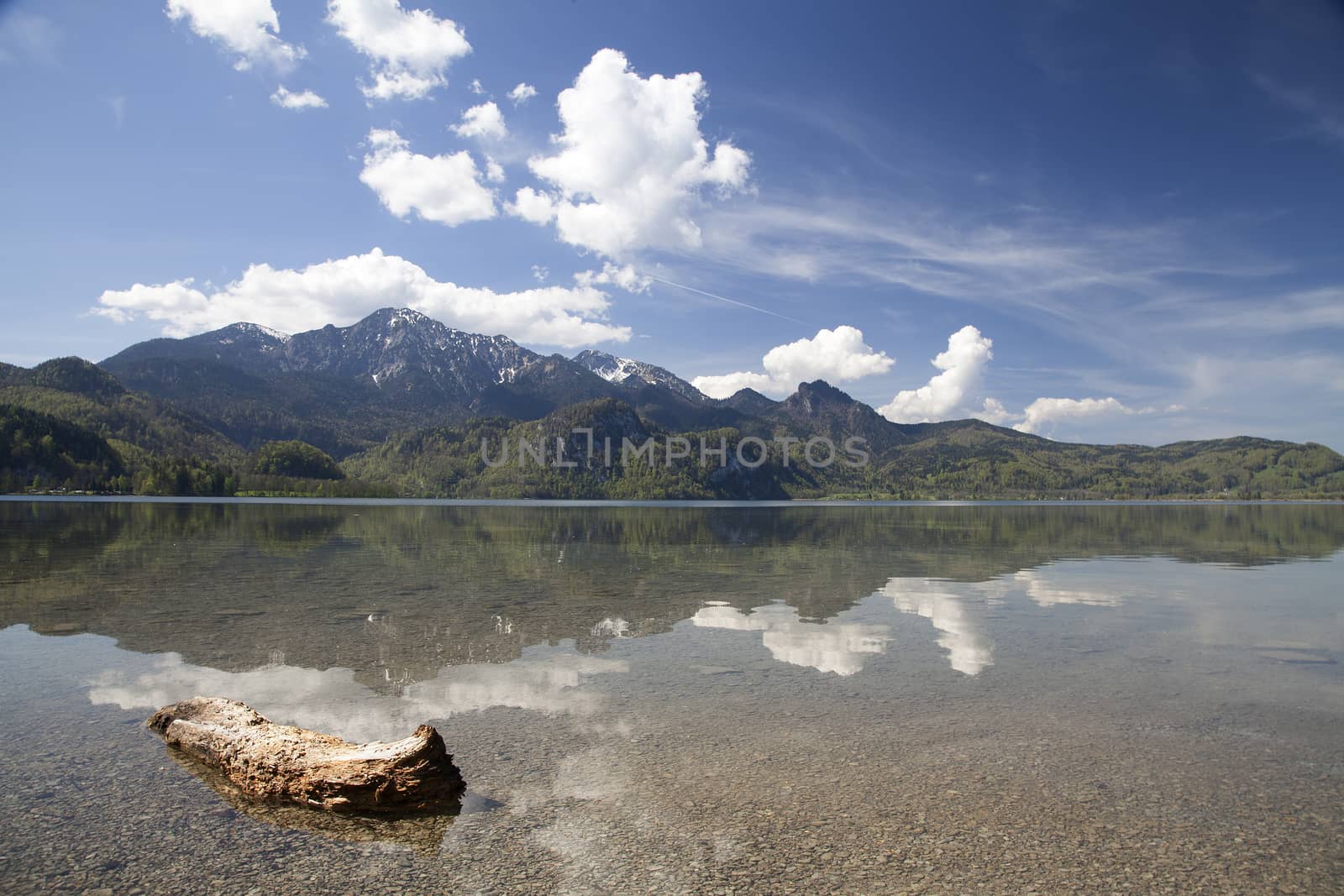 A piece of wood in the water and the mountains in the background