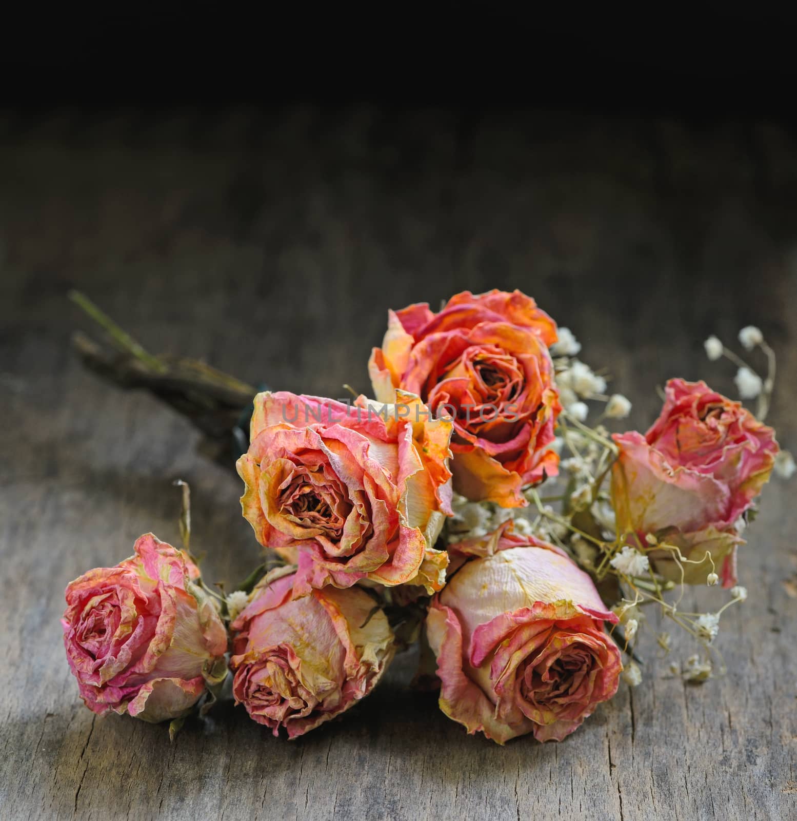 Dried rose on wooden table