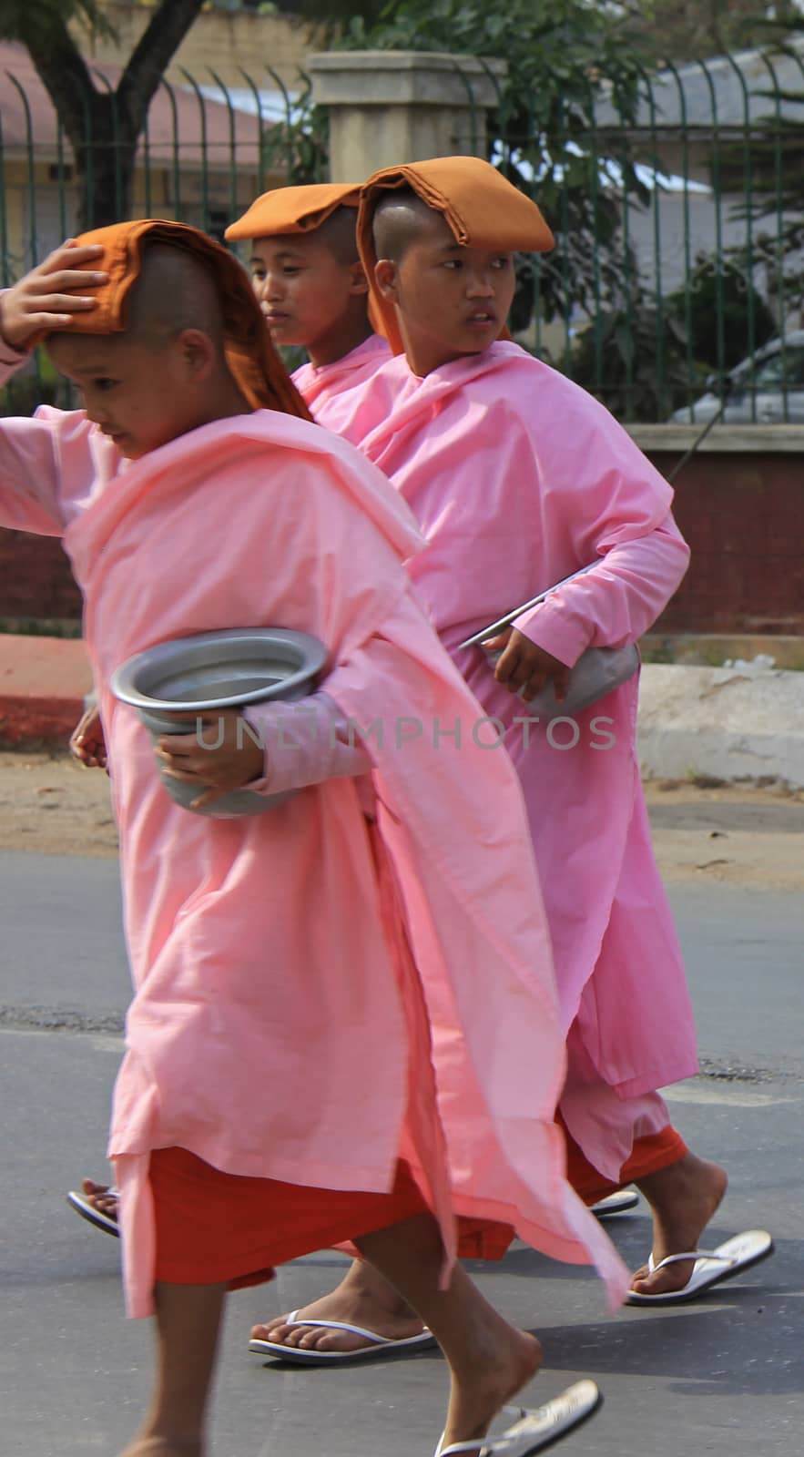 Buddhist nuns in Myanmar Feb 2015 No model release Editorial use only