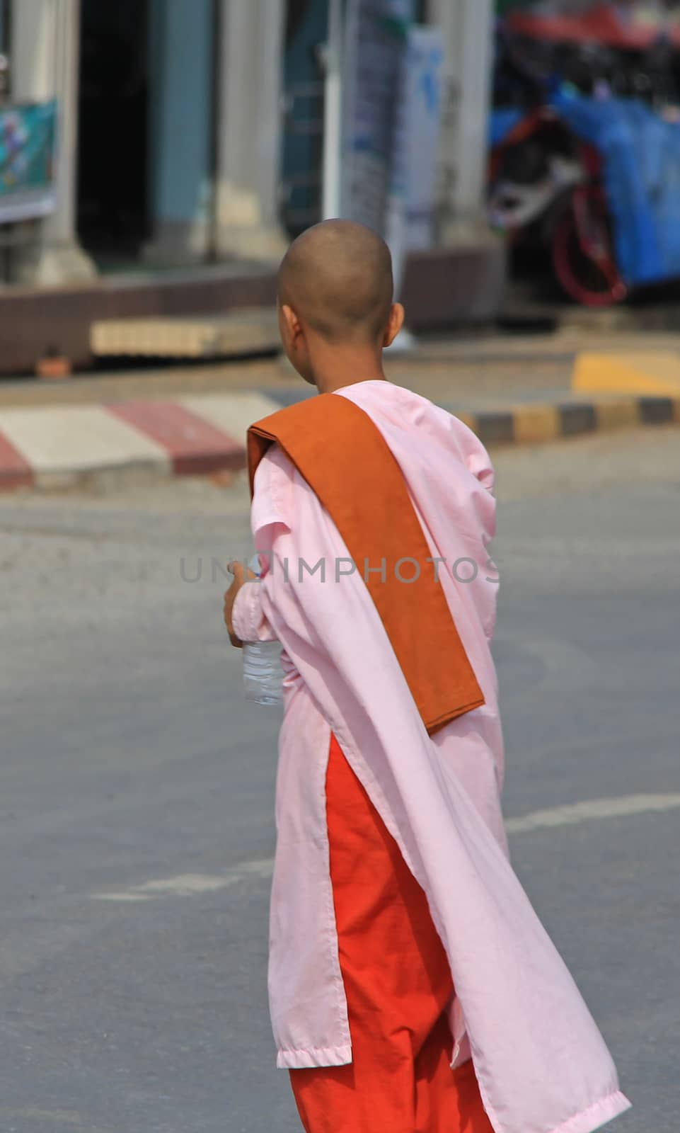Buddhist nun in Myanmar Feb 2015 No model release Editorial use only