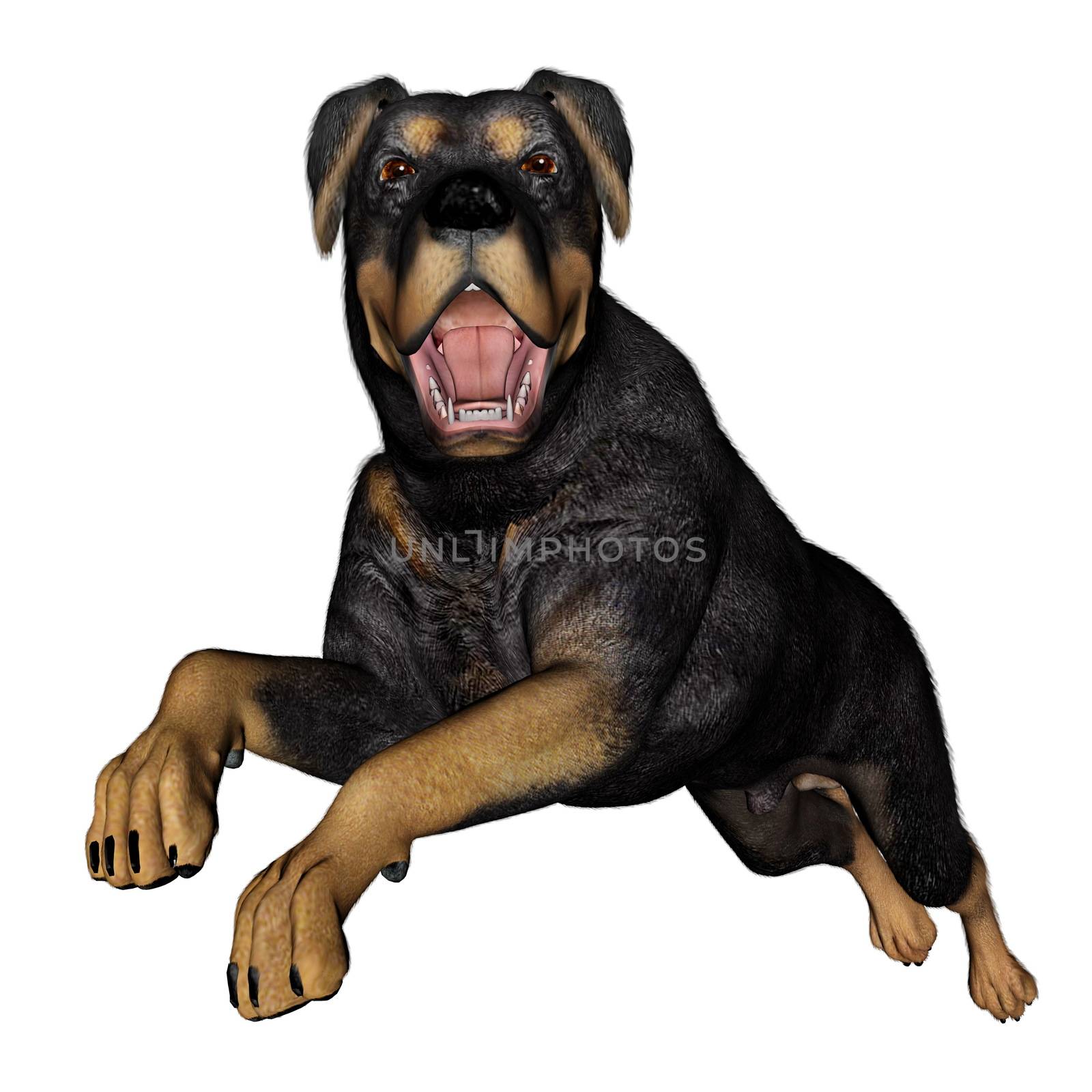 Rottweiller dog runnning - 3D render by Elenaphotos21