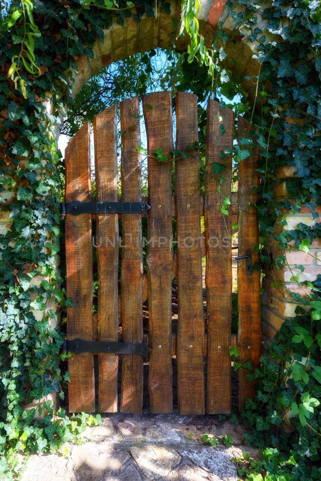 Old wooden door in the garden closeup photo