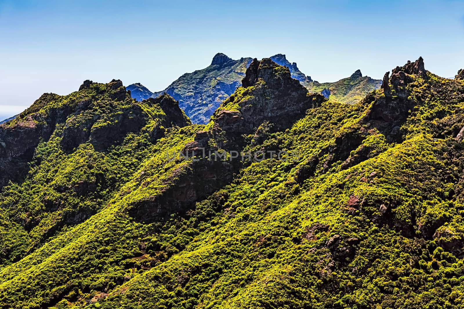 Green mountains or rocks and blue sky landscape in Tenerife Canary island, Spain