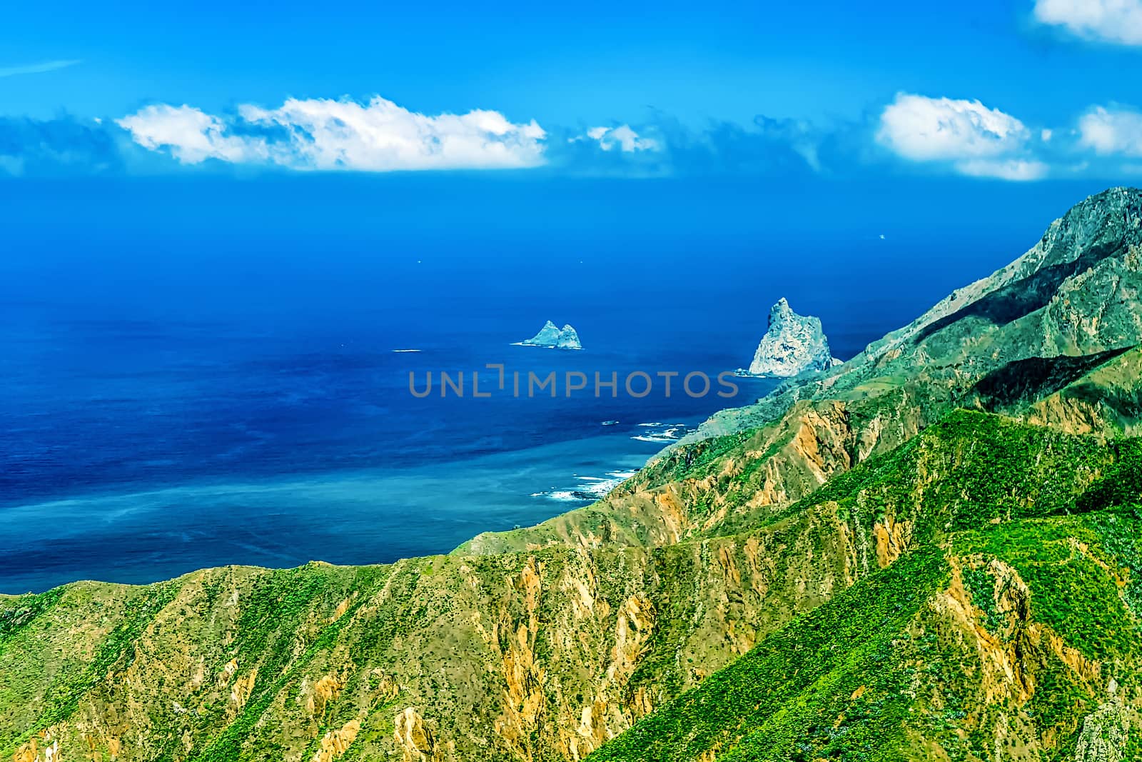 Coast or shore of Atlantic ocean with green mountain or rock and  sky with skyline or horizon in Tenerife Canary island, Spain at spring or summer