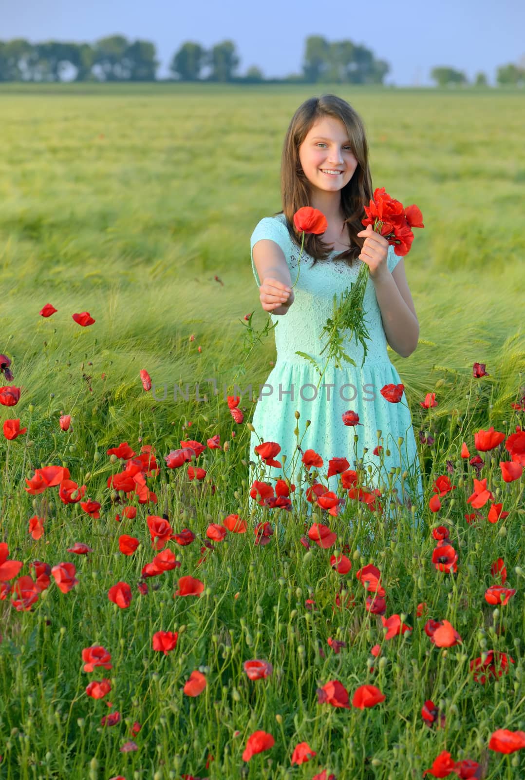 Young beautiful girl in poppy field