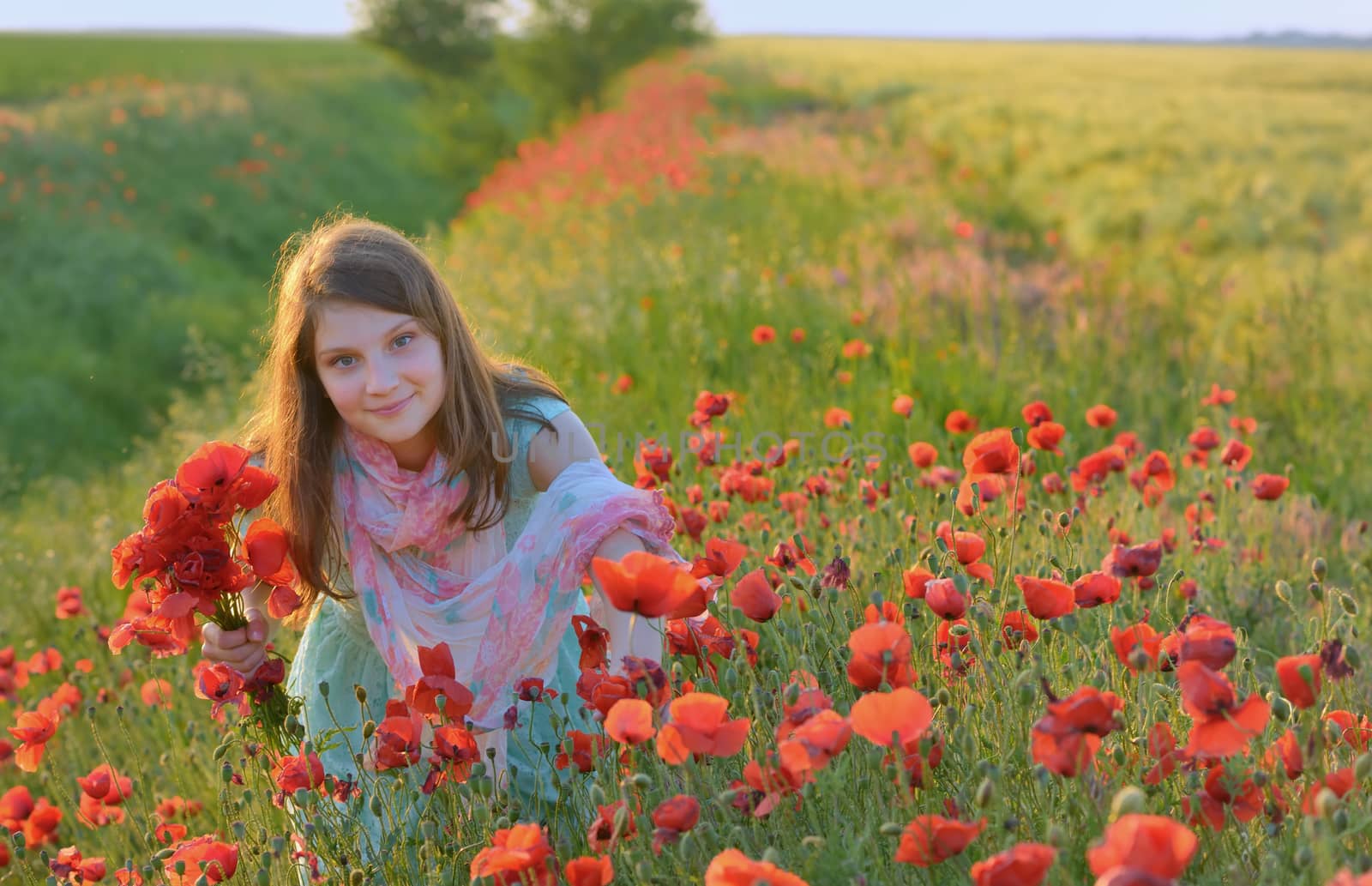 Young beautiful girl in poppy field