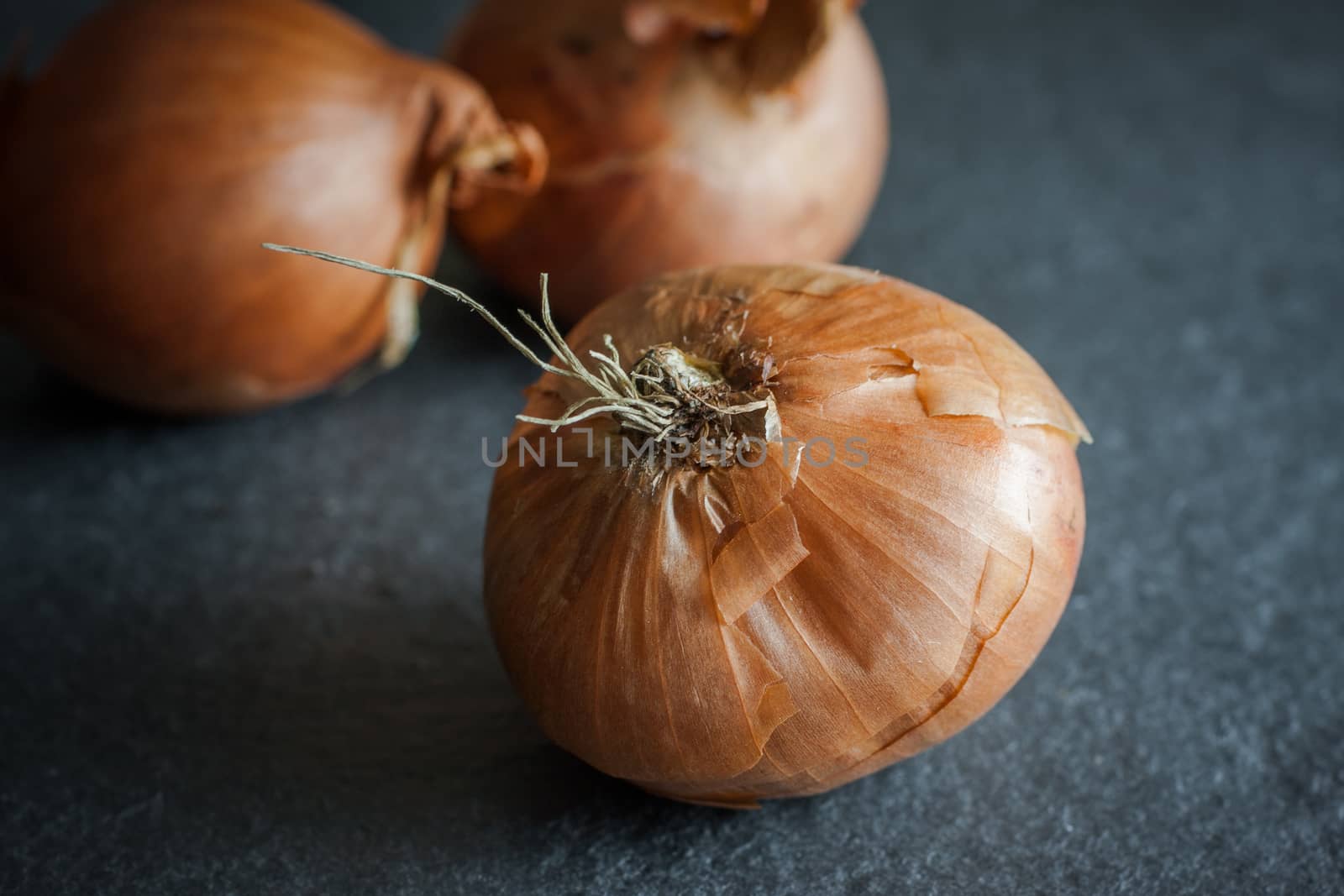 Shallots on slate board by SouthernLightStudios