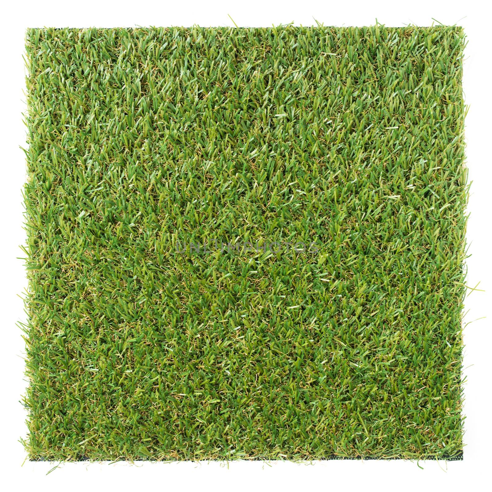 artificial grass isolated on white