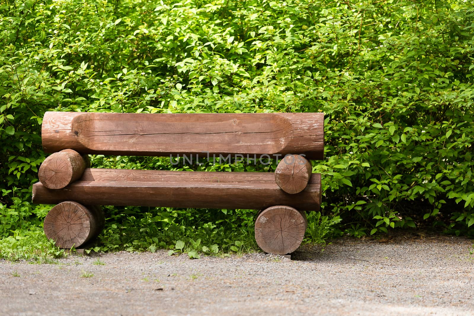 Massive wooden bench in the park on a background of vegetation