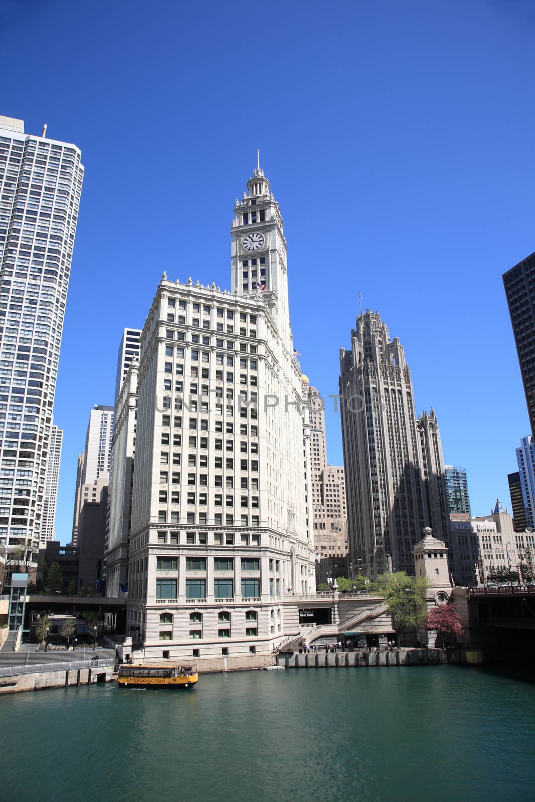 Wrigley Building in Chicago by Ffooter