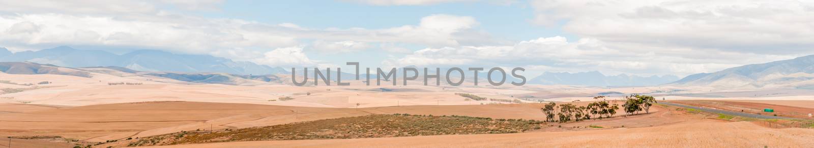 Panoramic view of the countryside between Bot River and Caledon in the Overberg region of the Western Cape Province of South Africa