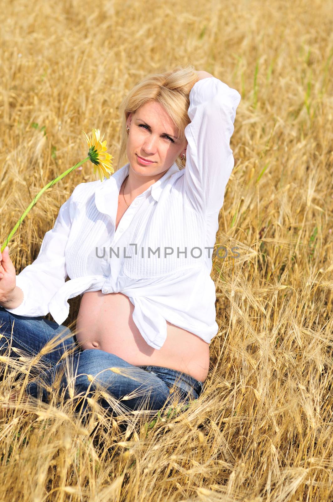 in the sunny summer field by Reana