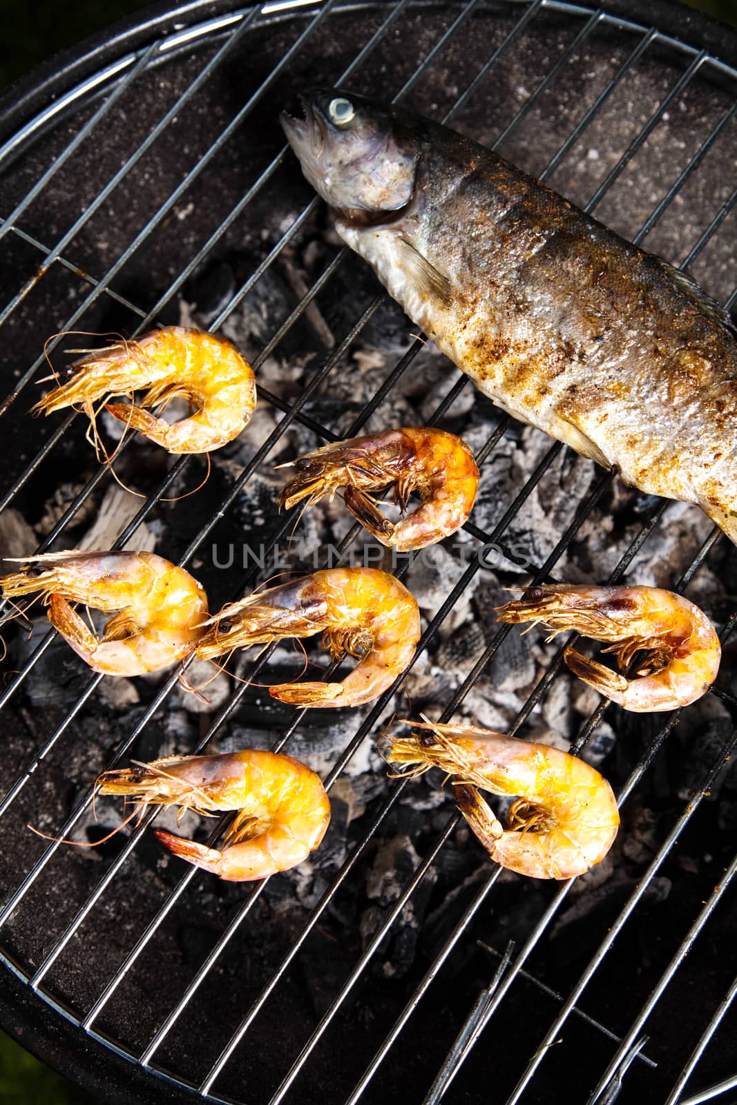 Grilling fish and shrimps, bright colorful vivid theme