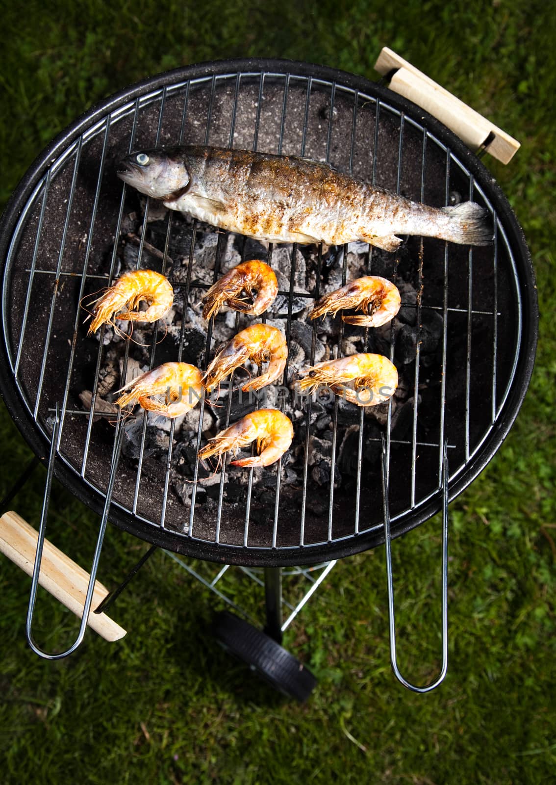 Grilling fish, bright colorful vivid theme