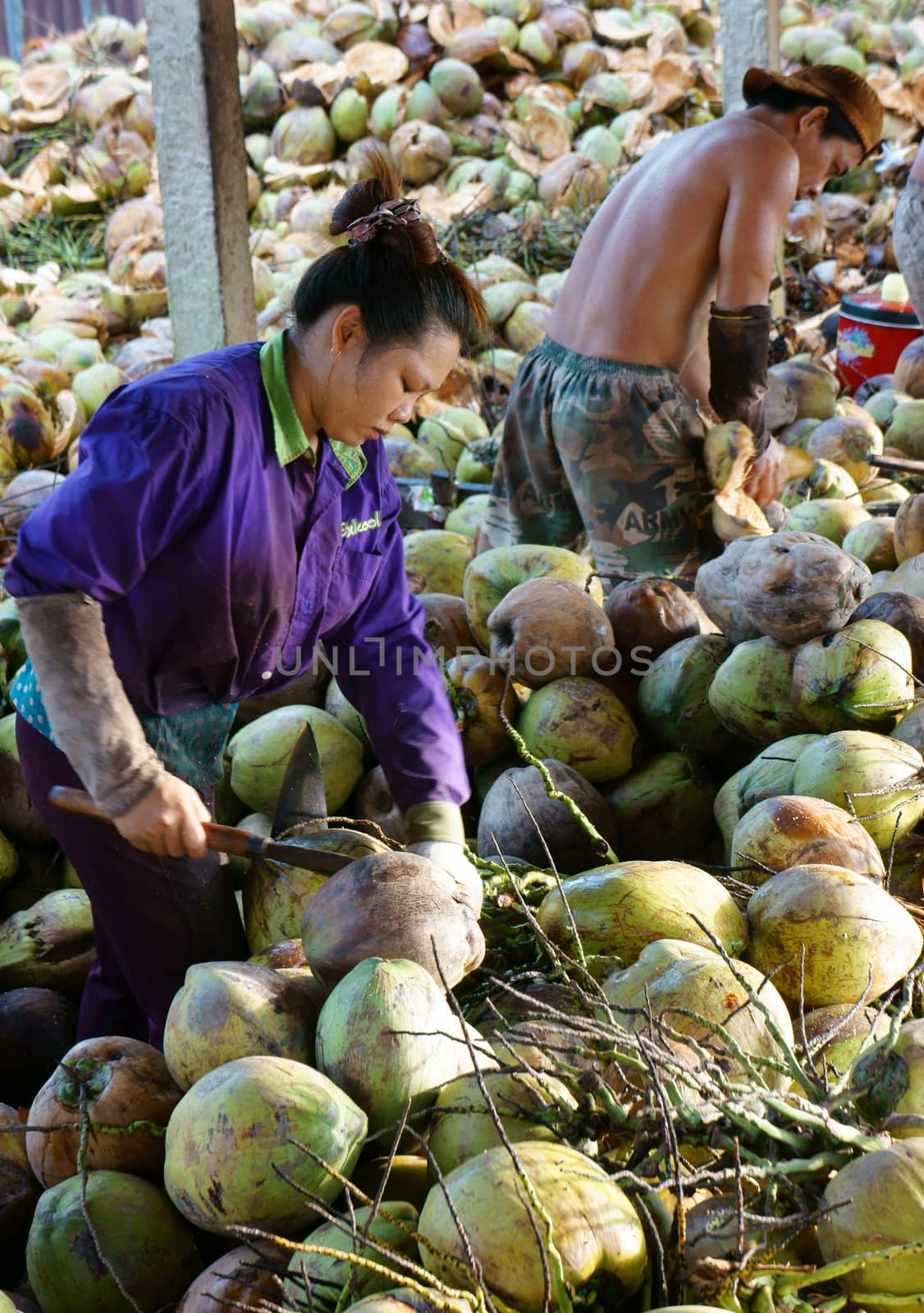 BEN TRE, VIET NAM- MAY 31: Group of Asian manual worker work hard at coconut granary, Vietnamese labor split fiber from coconut fruit, Ben Tre have large area of Mekong Delta, Vietnam, May 31, 2015