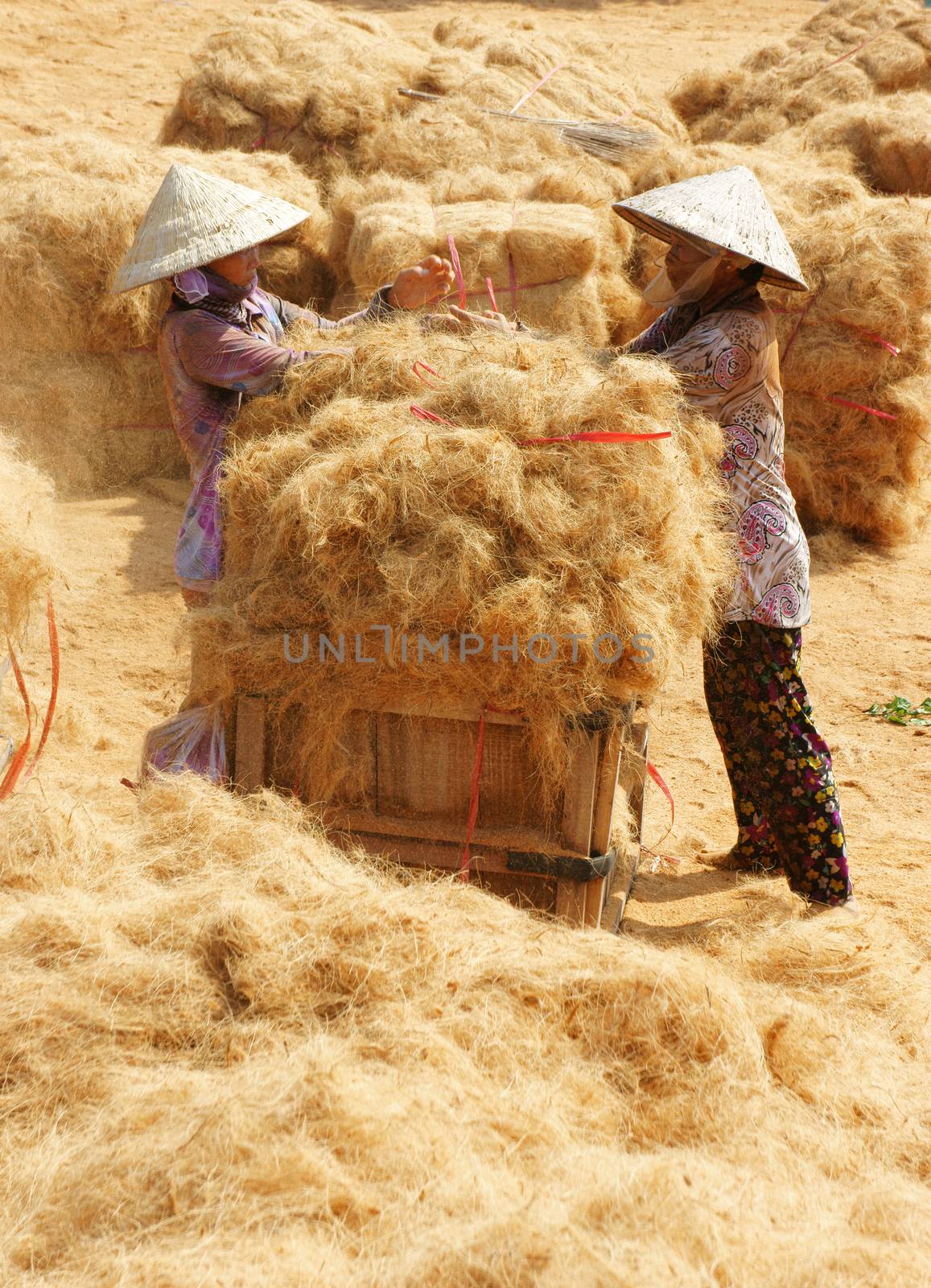 Asian worker, coconut, Vietnamese, coir, Mekong Delta by xuanhuongho