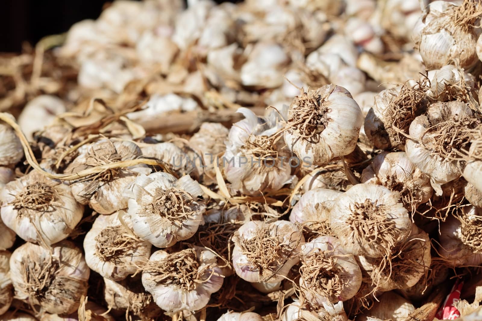 Garlic at a street market by dsmsoft