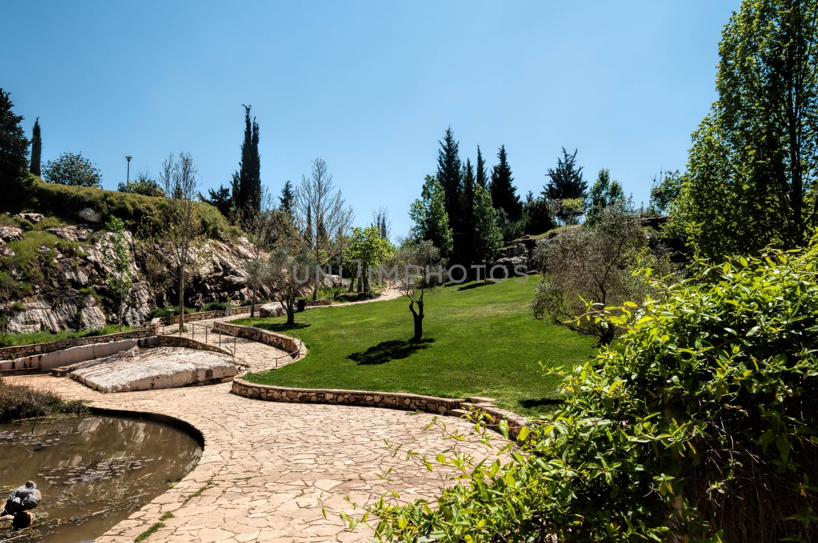 A fragment of the city park with beautiful paths and manicured grass lawn