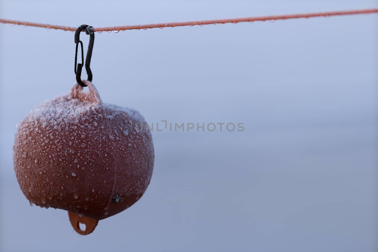 A frosty buoy on a rope with a snaplink