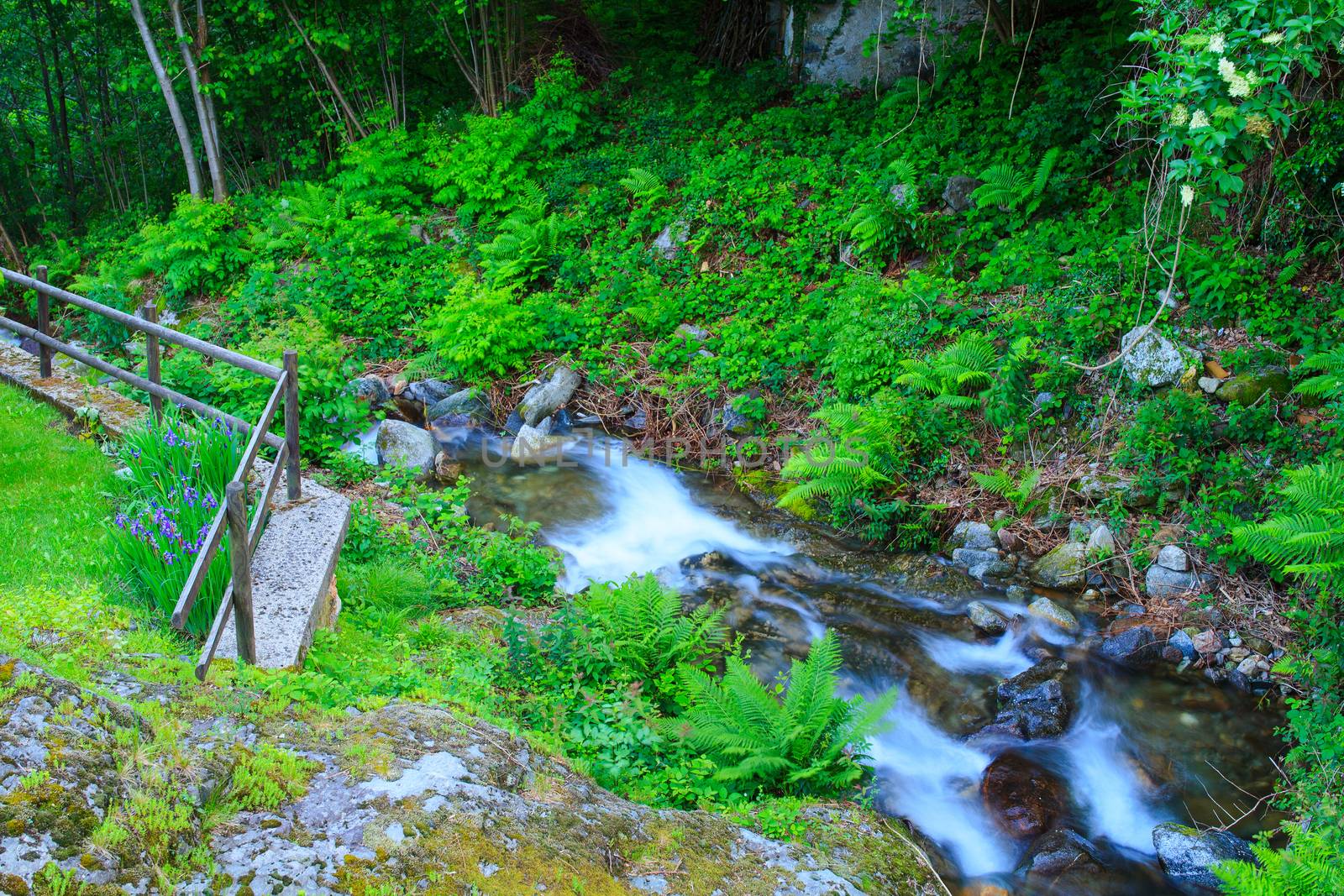 View of torrent in Arzo countryside, Verbania. italy