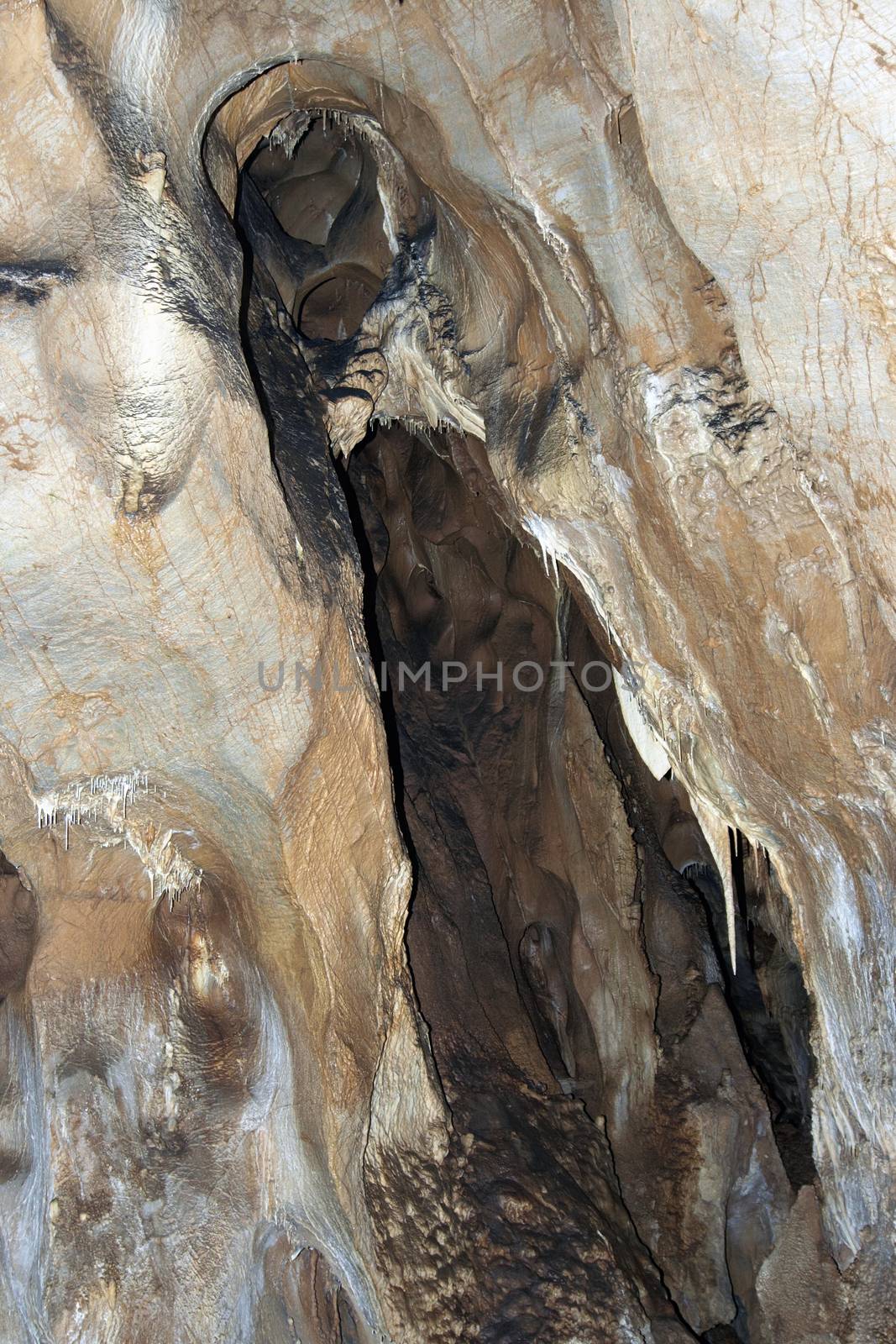 Javoricko stalactite caves are located in central Moravia, about 10 miles west of Litovle city. Underground cave system Javoricko a complex of corridors, domes and divides. Cave excel beautiful stalactite formations. The underground system of caves Javoricko consists of a complex of corridors, halls and gorges. They were created in the Isle of Devonian limestone and participated in their development stream Spranek. A substantial part of the cave was discovered in 1938. Javoricko, Moravia, Czech republic