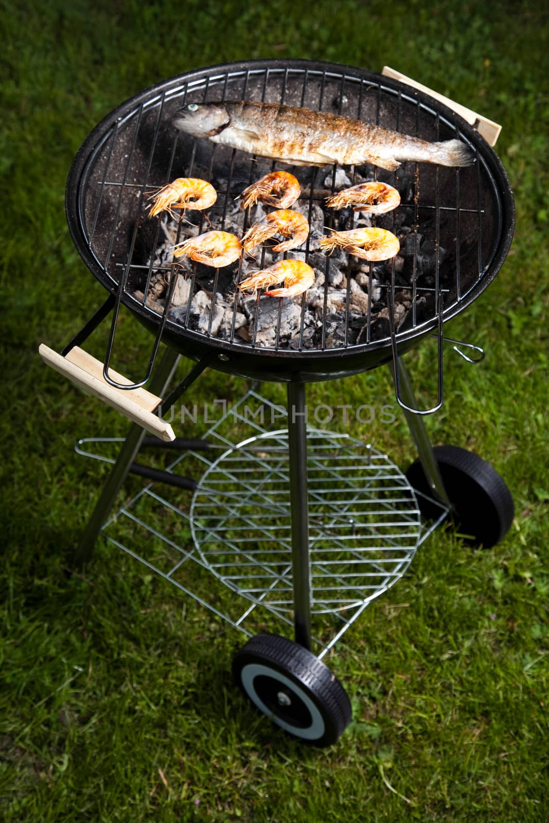 Grilling fish, bright colorful vivid theme
