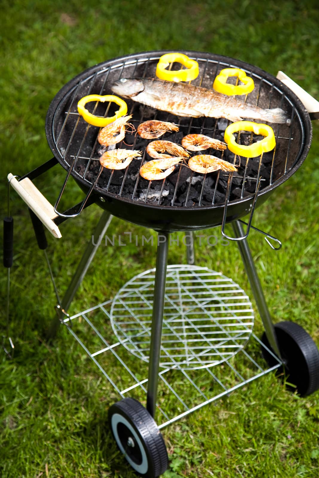 Grilling time, Grill, bright colorful vivid theme