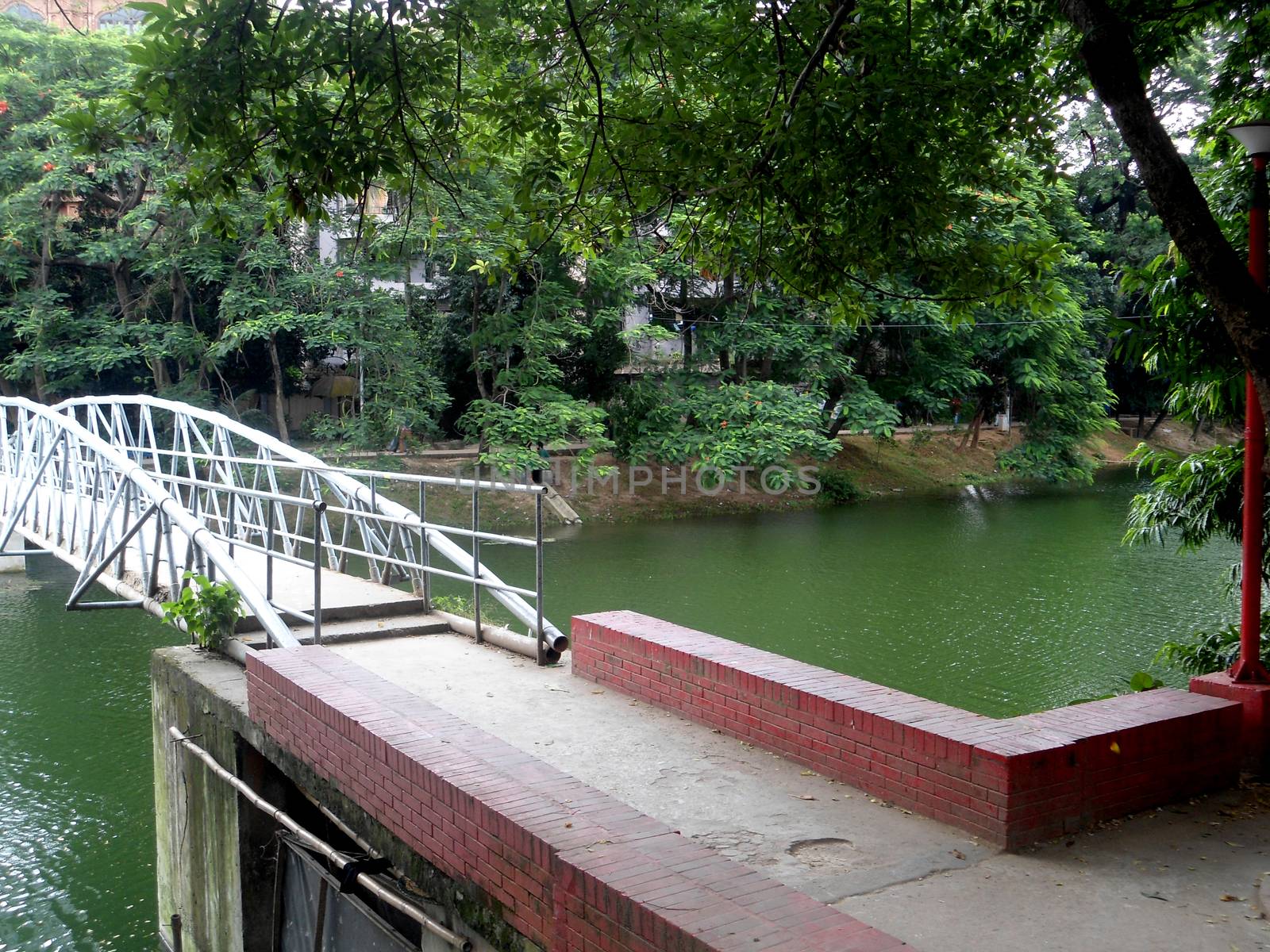 Bridge over the lake by shawlinmohd