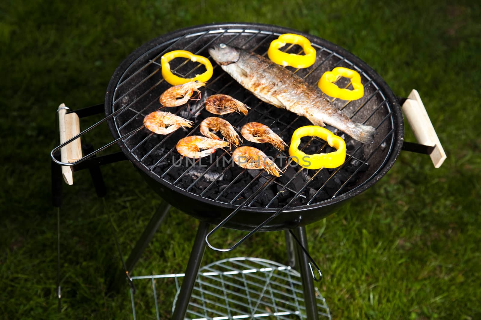 Grilling fish, bright colorful vivid theme