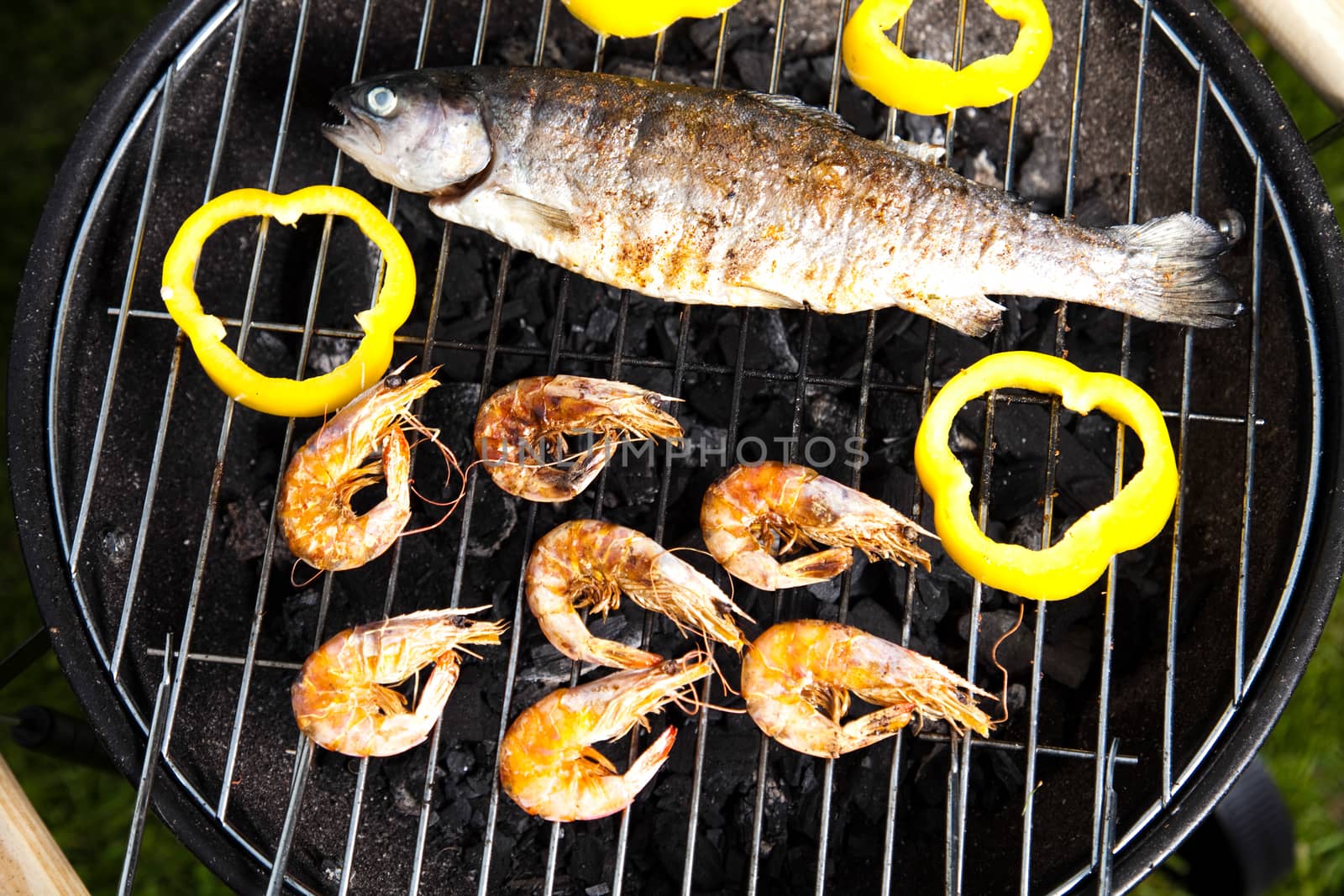 Grilled Foods, Fish, bright colorful vivid theme