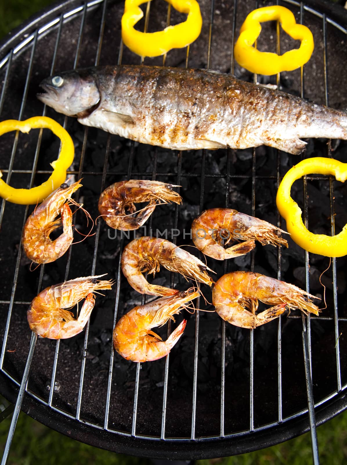Grilled Foods, Fish, bright colorful vivid theme